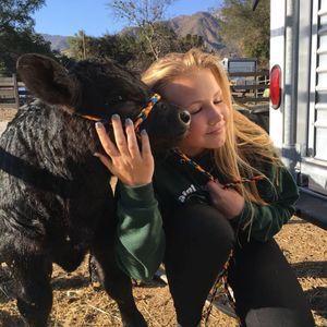 Meet your Posher, Dawn